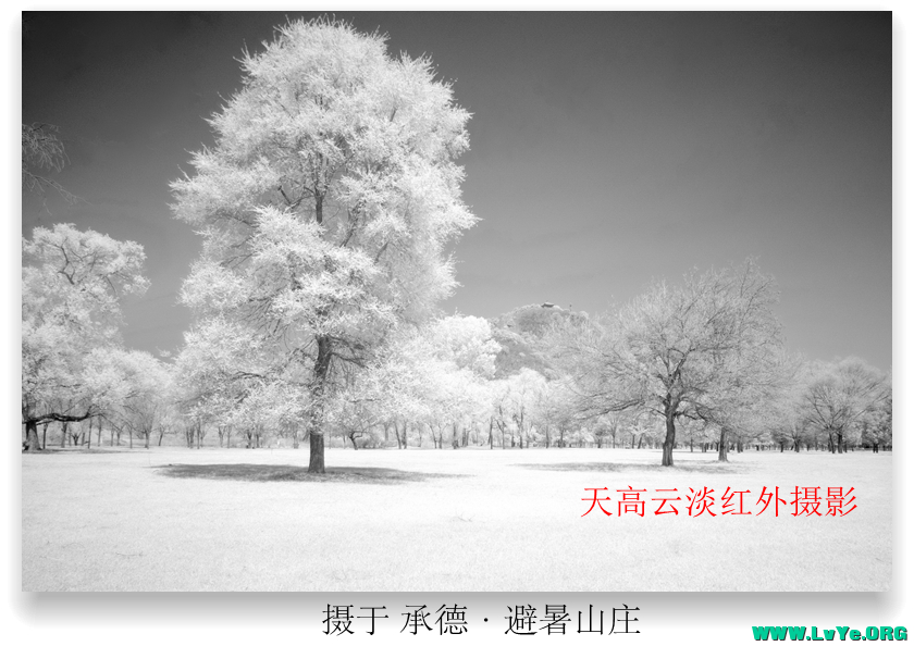 DSC_1975 拷贝_1.jpg